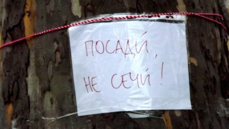Изсичането на горите &ndash; проблем №1 за природата ни