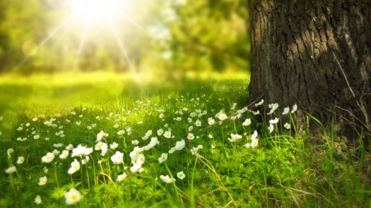 Лятна седмица през април: Градусите до 27