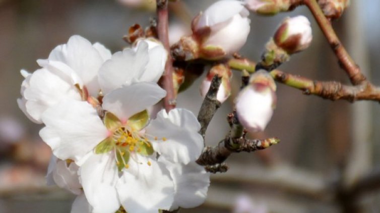 Слънчев и топъл вторник, живакът скача до 28&deg;