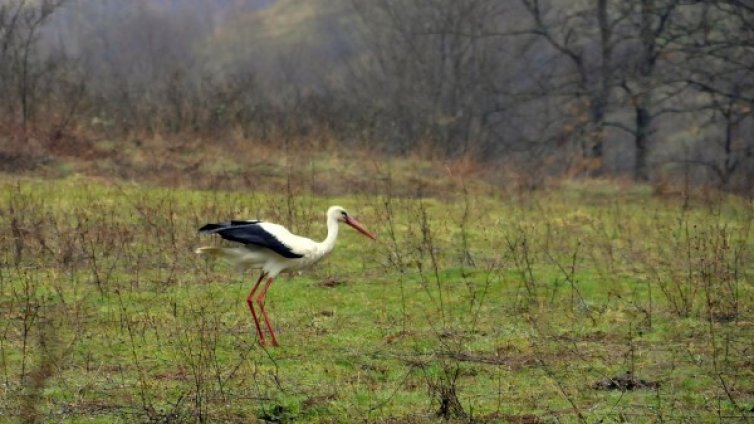 Времето днес: Слънце, облаци, гръмотевици, дъжд...