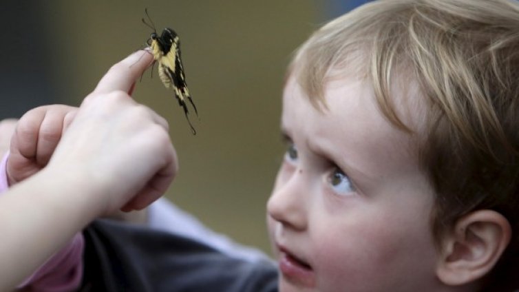 Дефицит на внимание и хиперактивност &ndash; най-често при децата