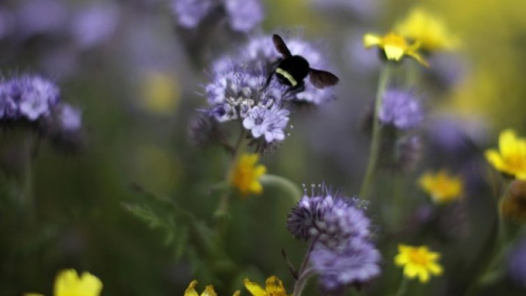Топло, слънчево, пролетно &ndash; времето днес