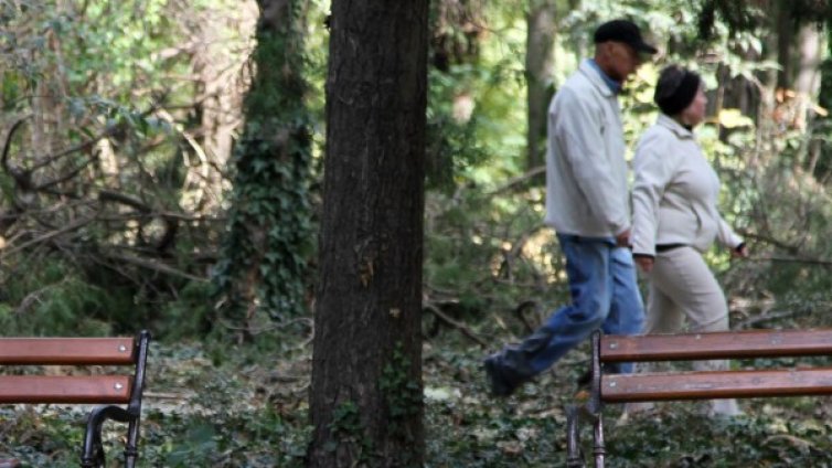 Деца, майки, бащи... Играят си, красота!