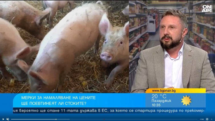 40&euro; загуба за прасе: Свиневъдите у нас продават под себестойността