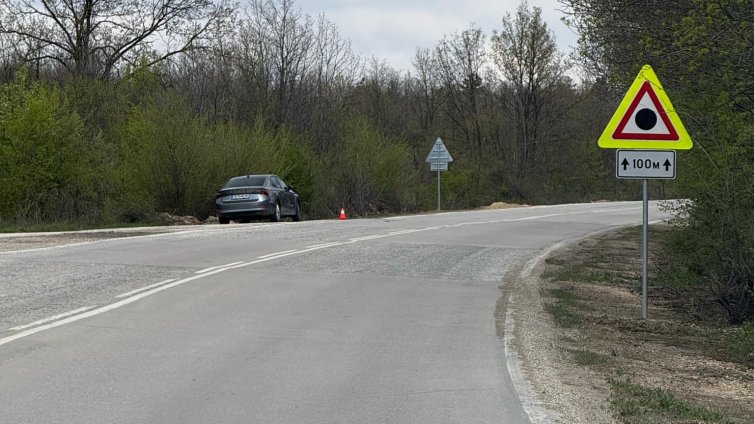 ИПБ: Да се публикува доклада, който посочва като рискова отсечката, където загина Сияна