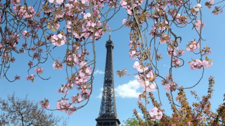 За британците френският език е най-секси