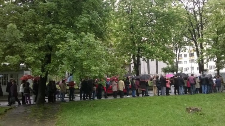 Върбови клонки и опашка пред... храма