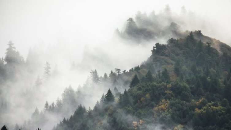 Момче се загуби в планината, звънна по GSM-а на мама