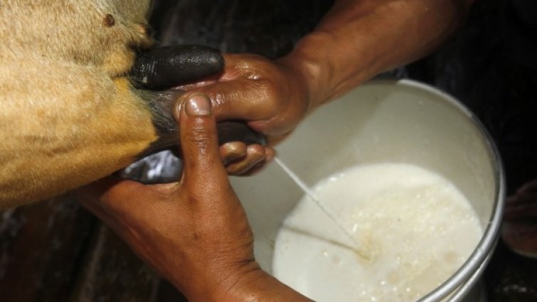 30 г. след ада в Чернобил &ndash; радиация в беларуско мляко