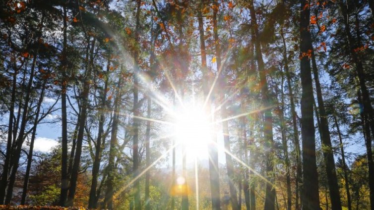 Слънцето ще се усмихне утре, топлят ни 22&deg;C