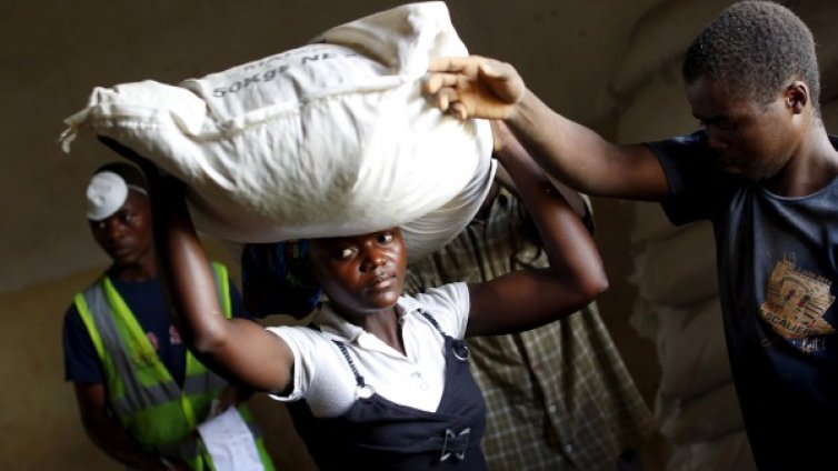 Зика тръгна и към Африка 