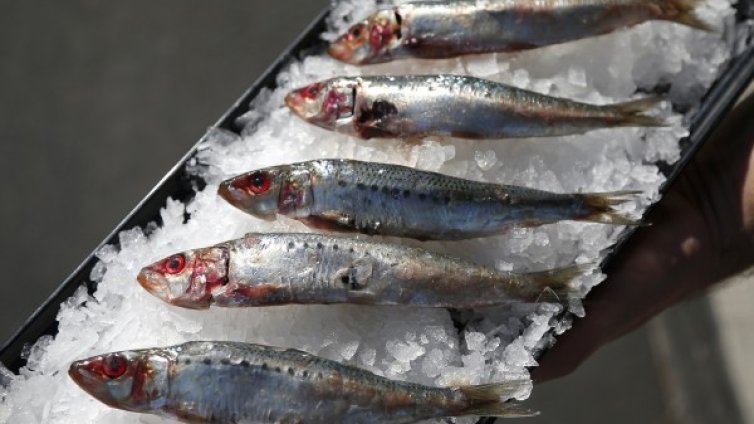 6 храни за сърцето и мозъка