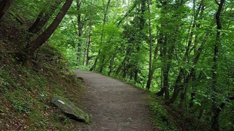 Откриват нова екопътека на Витоша с водосвет