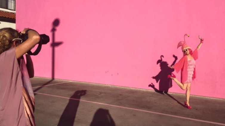 Китън Сера: Фламинго в свят на пингвини