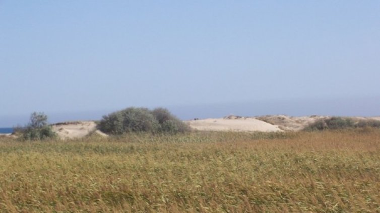 Гриша Ганчев връща на държавата земя до морето