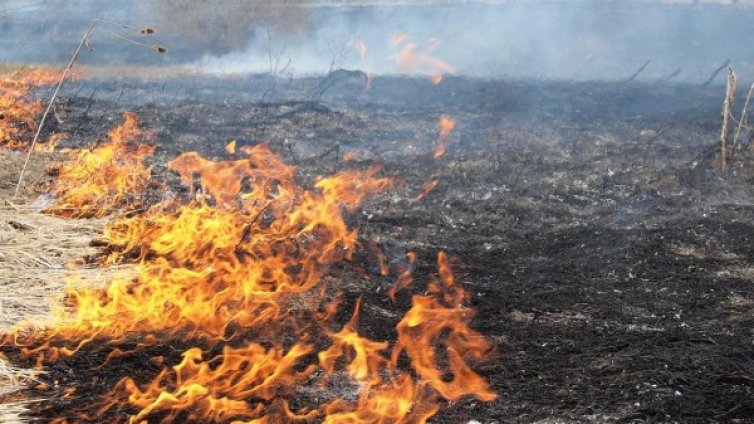 Голям пожар гори и не спира край Пловдив
