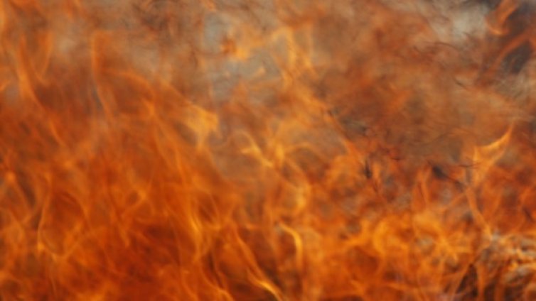 Пожар гори край Слънчев бряг