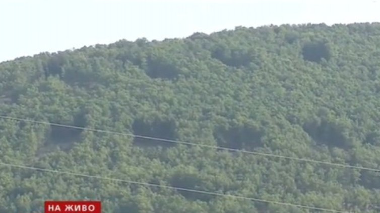 Сеч над Сърница &ndash; санитарна или варварски акт?