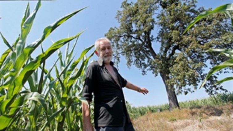 Легенди: Дърво на проклятието във Видинско! 