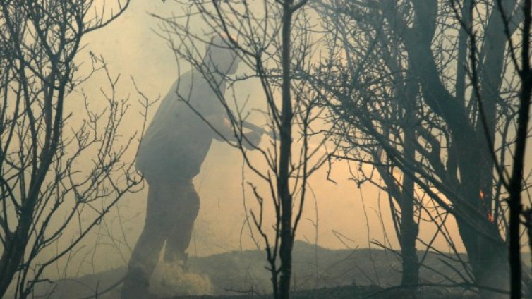 Дядо и внук предизвикали пожара в Хасковско