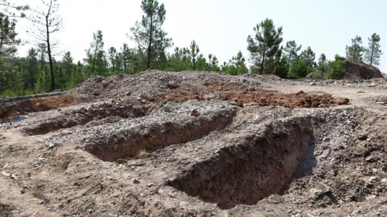 Мъртвите превратаджии в Турция &ndash; до приют за кучета!