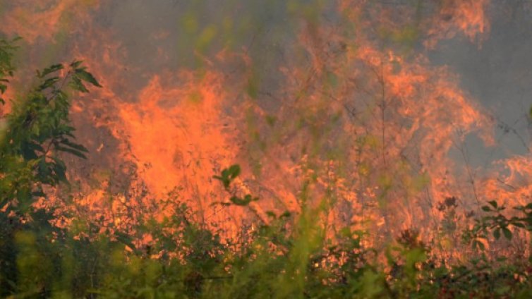 НИМХ предупреди: Висока е опасността от пожари в страната