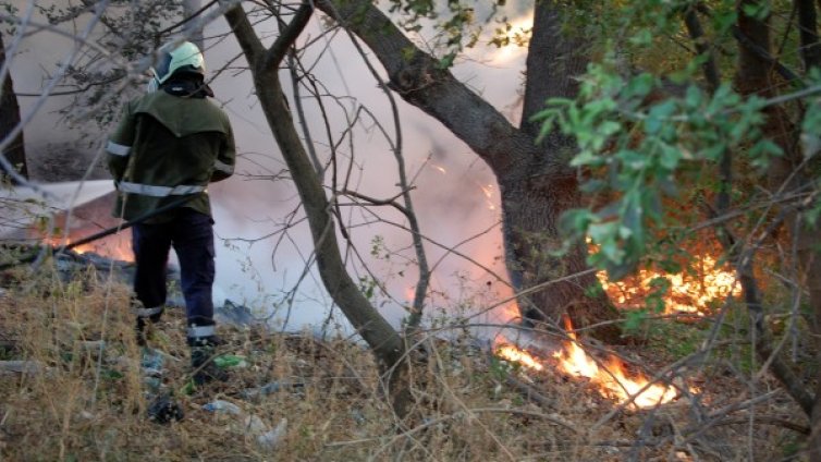 Психично болна драснала клечката на гора край Панагюрище