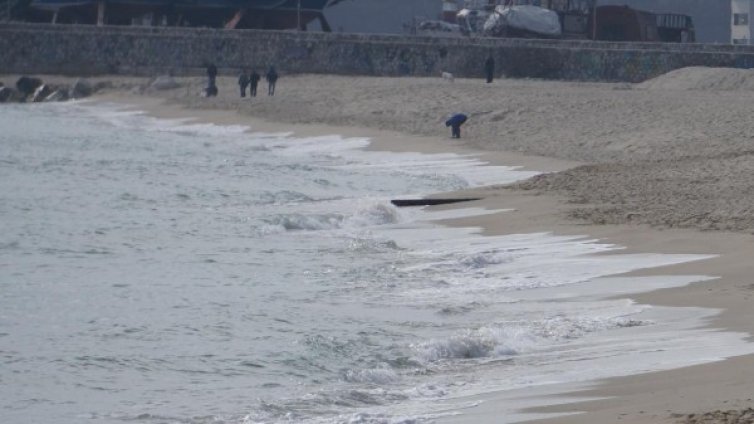 140 удавници на година, само 1/4 в морето 