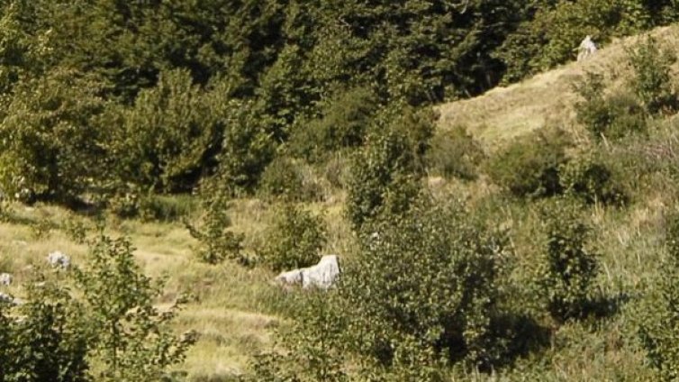 Хлапе се изгуби край Рожен, шляло се 8 км