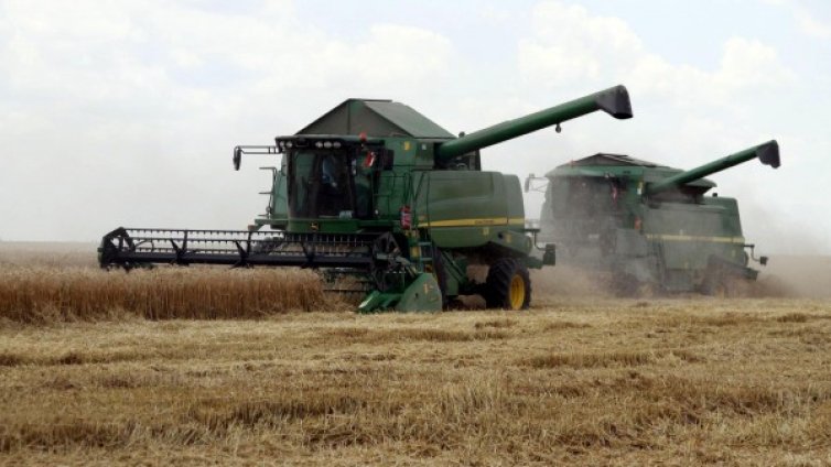 Прибрана е най-добрата зърнена реколта за последните години
