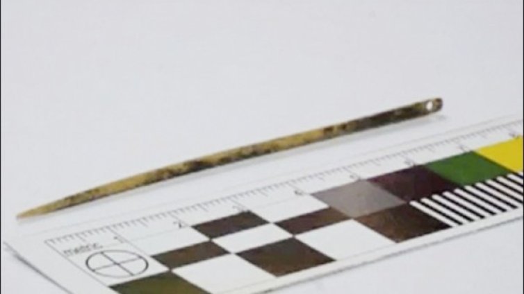 Археолози откриха най-старата игла &ndash; на 50 000 години