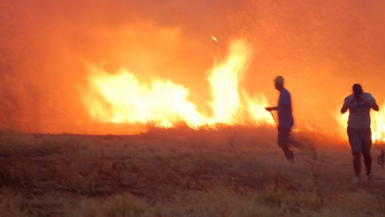 60 т фураж изгоряха при пожар край Добрич