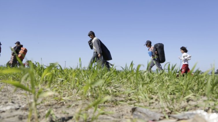 Унгария ще прави втора ограда по границата със Сърбия