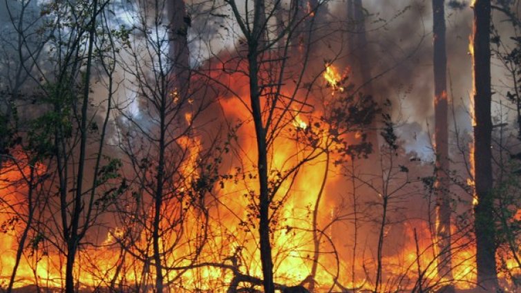 Заради пожар: Евакуираха село, затвориха път