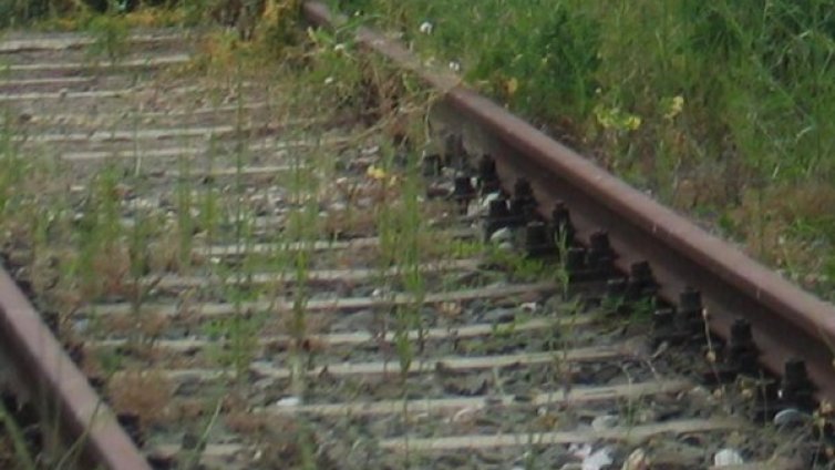 Влaк блъсна и уби възрастна жена в Първомай