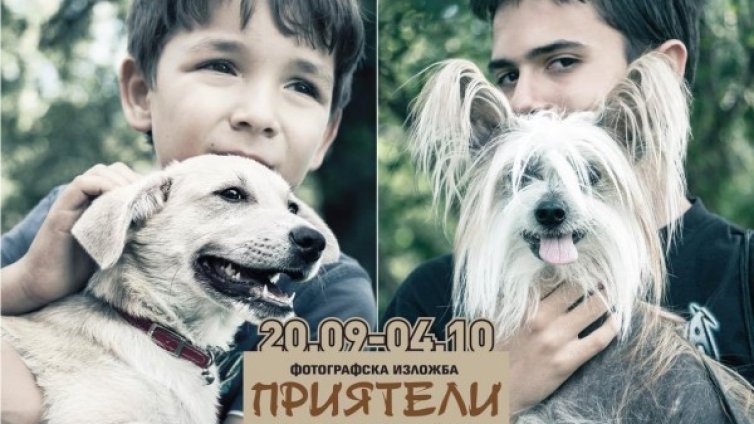 "Приятели" &ndash; за любовта между стопаните и техните кучета