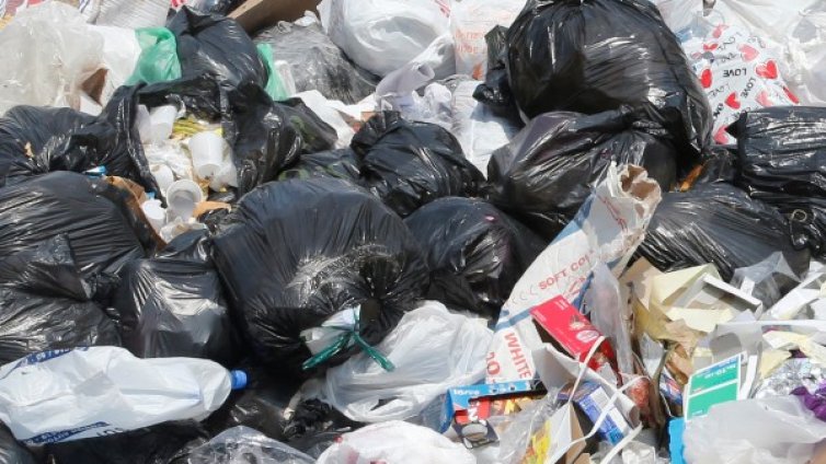 Новозеландка сама се бори със замърсяването на околната среда