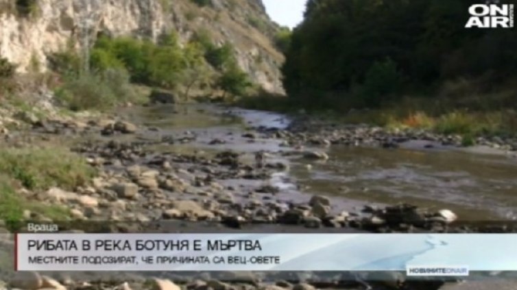 Тиня задръсти река Ботуня, всичката риба е мъртва!