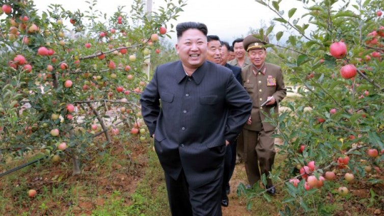 Луд ли е Ким Чен Ун, съсипана ли е икономиката на Пхенян?