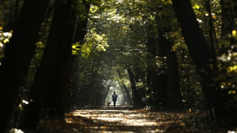 Есента идва със слънце и температура до 22&deg;
