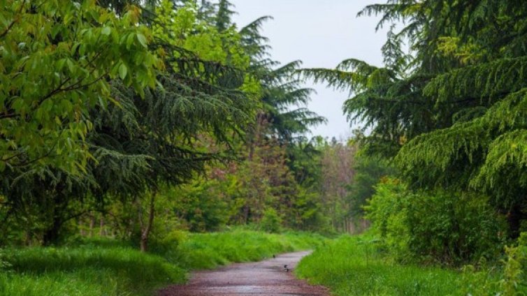 Стара Загора тръгна към спасяване на парк "Бедечка"