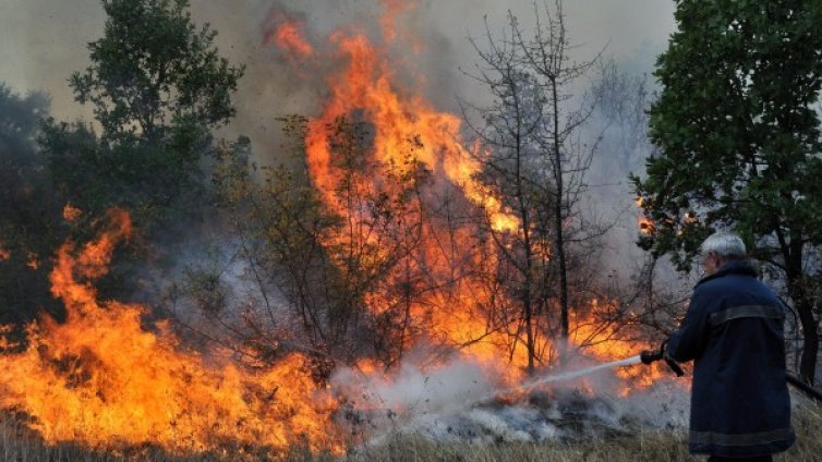 Пожар гори край село до Бобошево