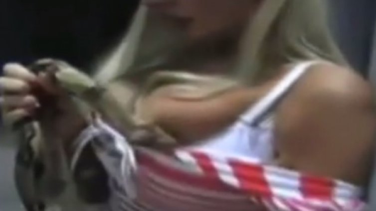 Змия се отрови! Захапала силиконов бюст на модел 