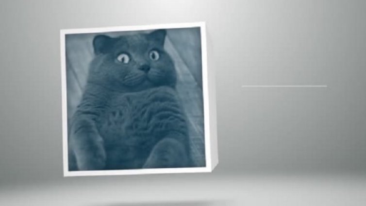 Мотка и Сърдак – претендентите за ПрезиДЕН 2016