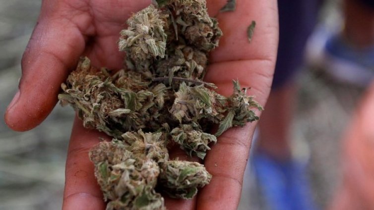 Марихуана в болница: Уж се лекуват, а продават трева!