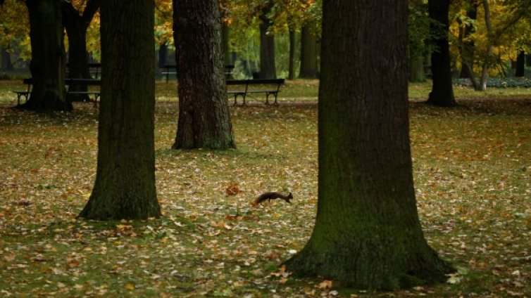 Времето днес: Облачно, че и мъгливо. Температурите &ndash; до 19&deg;