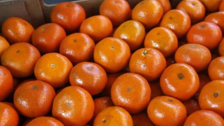 Нелепа смърт: 88-годишен грък се задави с мандарина, почина