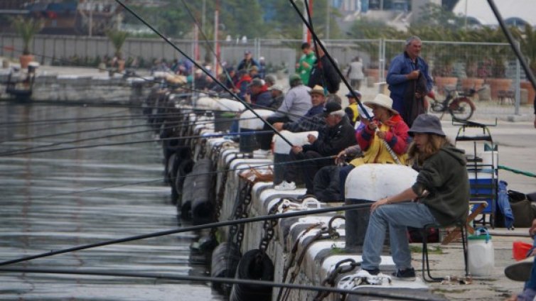 Инвазия: Китайски поспаланко и американски рак налазиха водоемите ни