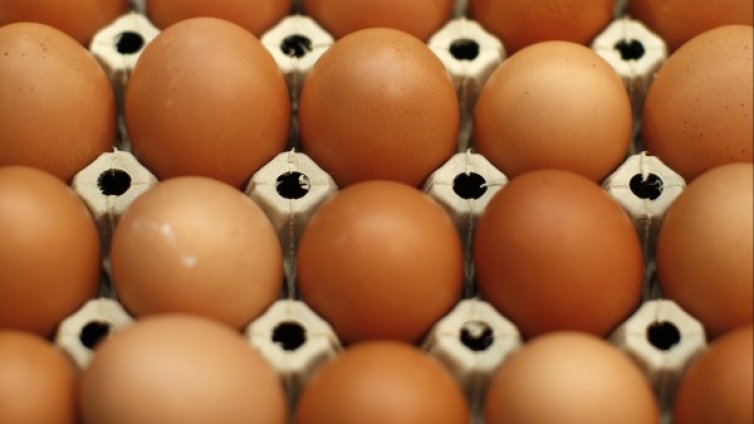 Изтеглят яйца от Полша, съмняват се за салмонела