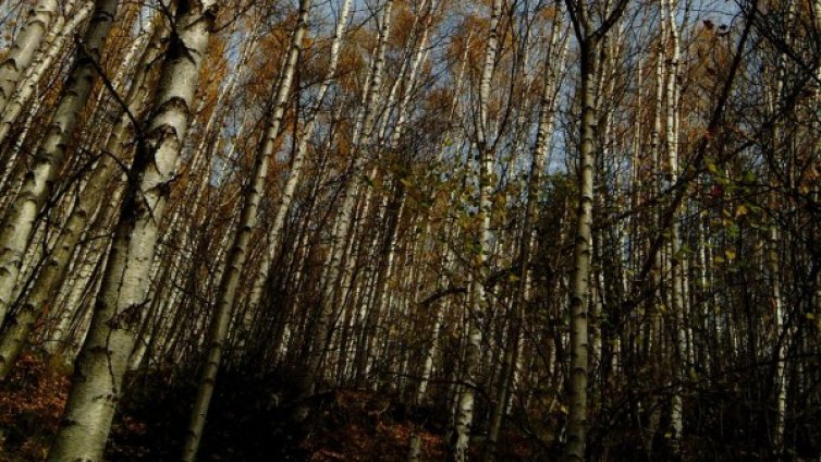 Сбъркана маркировка обърква туристите в планините